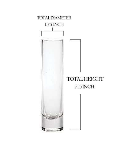 Serene Spaces Living Clear Glass Bud Vases, Set of 4, Perfect for Floral Arrangements at Home, Weddings, Parties, Measures 7.5" Tall & 1.75" Diameter - size: Medium - Set of 4