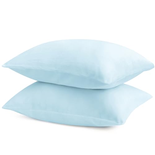 BEDELITE Flannel Pillow Cases Queen Size Set of 2, Blue, 20x30 Inches | Super Cozy Fuzzy Velvet Pillow Shams with Zipper Closure, Soft Fleece Pillowcases for Bedroom, Sofa, Couch, All-Season Use - color: Blue, size: 30" x 20" (Pack of 2)