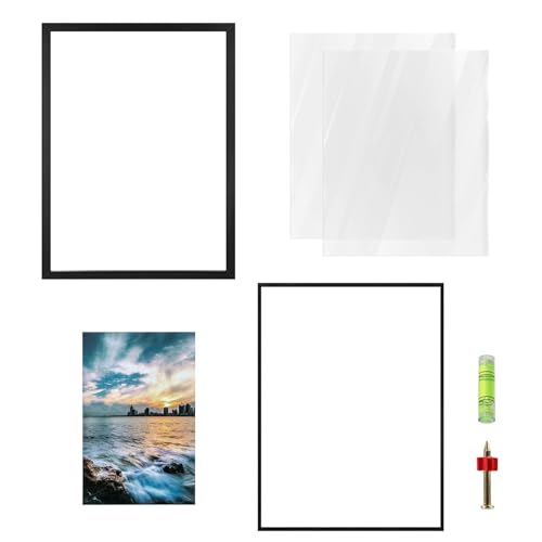 ONE WALL 18x24 Floating Frame, Black Wood Double Glass Float Picture Frame | Display 11x14/11x17/12x18/13x19/16x20 Photos or Plant or Petal Specimens for Wall Hanging, Mounting Kit Included - size: 18X24