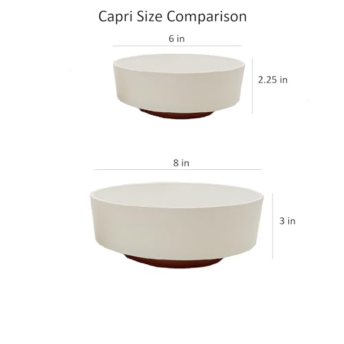 The HC Companies 6 Inch Round Plastic Succulent Capri Bowl 6"x6"x2.25" in Vanilla Bisque with Copper Bottom Color - color: Vanilla Bisque, size: 6"