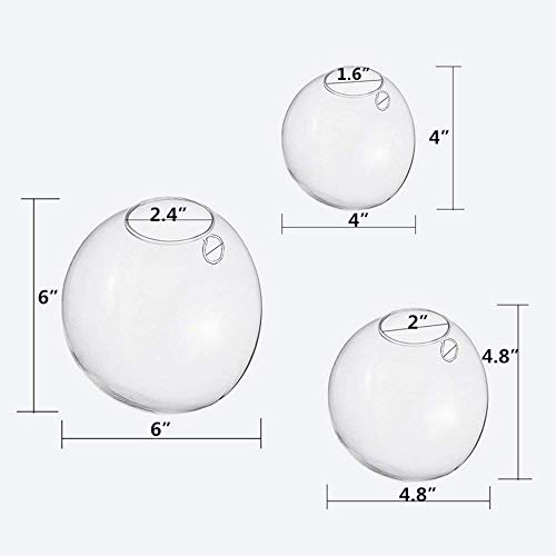 Set of 3 Wall Hanging Planter Wall Hanging Bubble Glass Terrarium Wall Mount Vase for Indoor Planter Air Plant Glass Terrarium Flower Vase Wall Bowl(Oblique Opening)