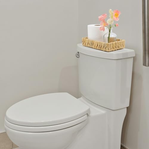 Water Hyacinth Bathroom Vanity Tray, 10 Inch | Toilet Tank Basket, Bathroom Counter Organizer, Small Wicker Tray, Toiletry Storage, Coffee Table Decor - size: 10.1" x 6" x 2"