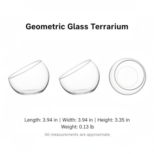 Geometric Glass Terrarium, Borosilicate Planter for Succulents and Air Plants, Desktop Display Vessel (1 PC)