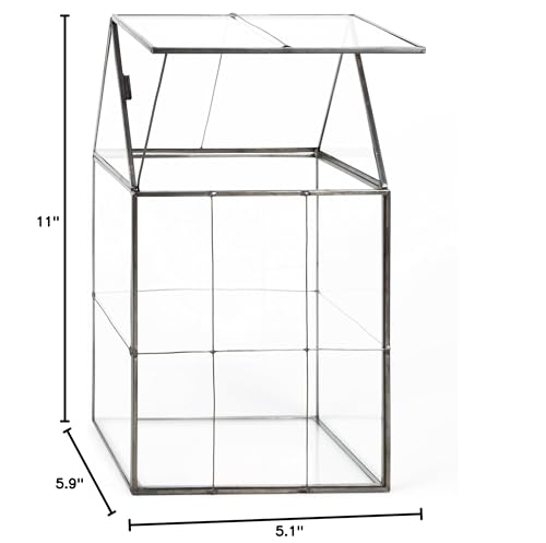 D'Eco Large Glass Plant Terrarium, Centerpiece & Wedding Letterbox Display | Tabletop Geometric Planter Terrarium, Fill with Succulents, Moss, Air Plants, Ferns, Home & Office Decor, Dims:6x5x11"