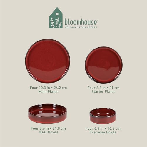 Two Time Oprah's Favorite Things Winner - Santorini Mist Double Bowl Terracotta Reactive Glaze Plates and Bowls Dinnerware Set - Garnet Red, Service for Four (16pcs) - color: Garnet Red
