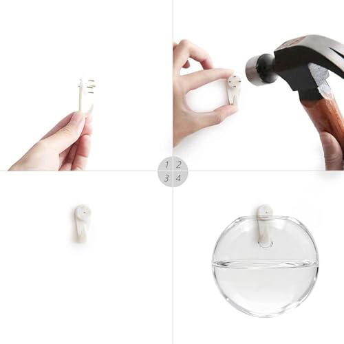 Wall Hanging Propagation Station 6 Pack Oblate Glass Hydroponic Plant Vases | Decorative Wall Mount Planter Vases for Home Bathroom Office, Perfect Housewarming Gift 