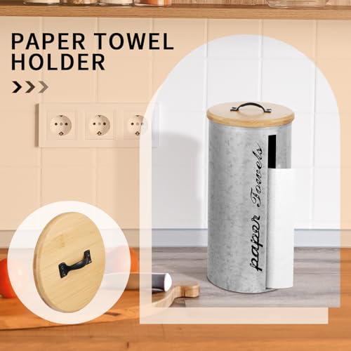 Beeveer Farmhouse Paper Towel Holder Covered Metal Rustic Countertop Paper Towel Dispenser with Wooden Lid Fully Covered Holder for Home Country Bathroom Kitchen 6.3 x 6.3 x 13.4'', Silver