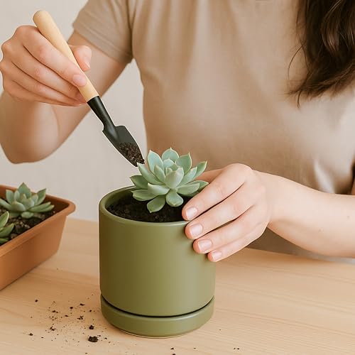 D'vine Dev 4-Pack Ceramic Pots with Saucers, Olive, 3.5 in, 94-X-A-0 | Glazed Ceramic, Drainage Hole and Saucer, Sleek Cylinder Shape, High Temperature Fired, Ideal for Small Houseplants - color: Olive, size: 3.5 Inch