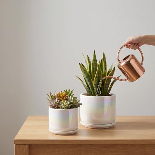EFISPSS Plant Pots, 4+5+6 Inch Pots for Indoor Plants,Ceramic Planter Pot with Drainage Hole,Flower Pots for Succulent Cactus,Set of 3 - Rainbow Pearl Glaze - color: Rainbow Pearl Glaze