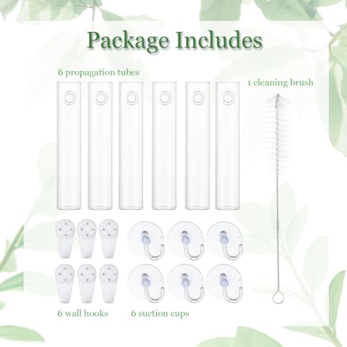 Bunmery 6 pcs Window Propagation Stations, Plant Propagation Tubes with suckion Cups & Nails, Easy to Install Wall Hanging Planter Propagation Station, Glass Plant Terrarium Vase