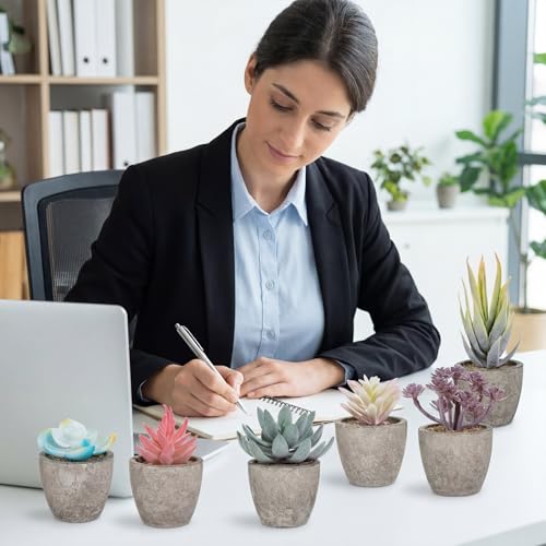 Set of 6 Artificial Succulents Potted - Realistic Mini Fake Cactus Plants in Paper Pulp Pots, 2-4'' Mixed Sizes for Farmhouse Shelf, Bathroom, Coatrack Shelf, Bedroom Indoor(Vivid Style) - style: Vivid Style