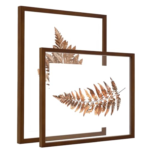 DLQuarts 16x20 Floating Picture Frame for 12x16/11x14 Photos, 2-Pack Solid Wood Double Plexiglass Wall Art Frames, Any Size Photo up to 16x20 Display, Black Walnut - color: Black Walnut, size: 16x20