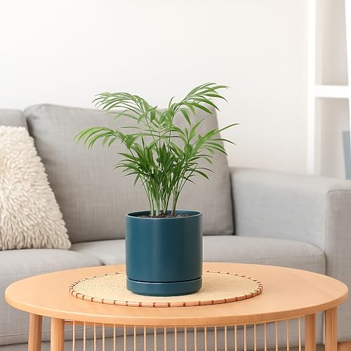 D'vine Dev 4.7 Inch & 6.5 Inch Ceramic Planter Pots for Plants with Drainage Hole and Saucer, Small Plant Pots Set, Teal, 94-G-S-9 - color: Teal, size: Small
