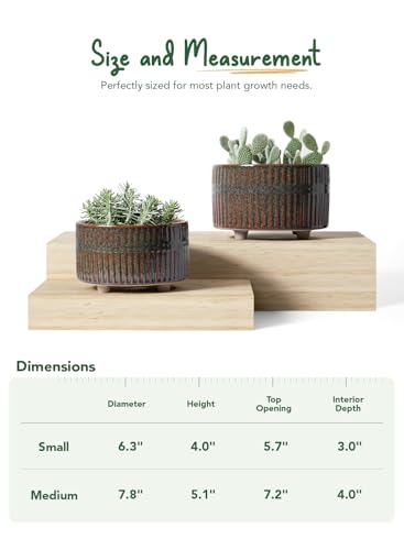 LE TAUCI Succulent Pots, 6.5+8 Inch Ceramic Pots for Plants Indoor, Shallow Round Succulent Planters with Drainage Hole, Set of 2, Reactive Glaze Black - color: Reactive Glaze Black