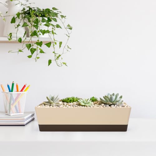 Suream Window Box Herb Planters, 3 Pack 16 x3.8 Inch Indoor Rectangle Succulent Cactus Plant Pots with Saucer, Modern Plastic Flower Container for Windowsill, Garden Balcony, Home Office Outdoor Decor - size: 3pcs/16x3.8in