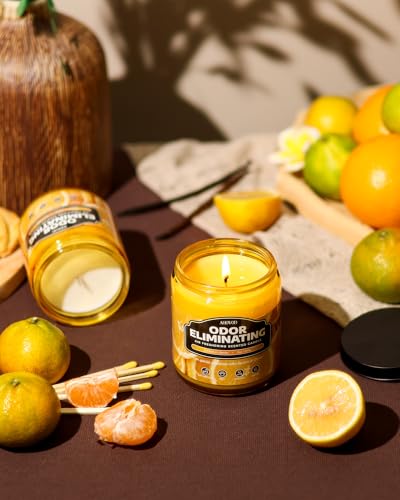 AOOVOO Citrus Lemon 2 Pack Odor Eliminating Candle - 18oz Soy Candle | Eliminates 95% of Pet, Smoke, Food, and Other Smells Quickly, Non Toxic Air Freshing Candle, Up to 100 Hours Burn time - size: 18 Ounce (Pack of 2)