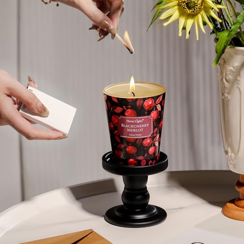 HomeLights Soy Wax Candles for Home Scented, 1-Wick Candles in Blackcherry Merlot Scented, Aromatherapy Candles Gift for Parties, Relaxing, Eclectic Mixed Styles, 6.7oz - color: Blackcherry Merlot