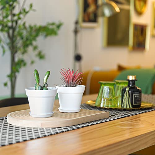 T4U Small Plant Pots 4 Inch 18 Pack, Plastic Flower Pots with Saucer White | Nursery containers for succulents cactus herbs, Desk windowsill shelf, Violet african violet, Compact lightweight - color: White, size: 4 In