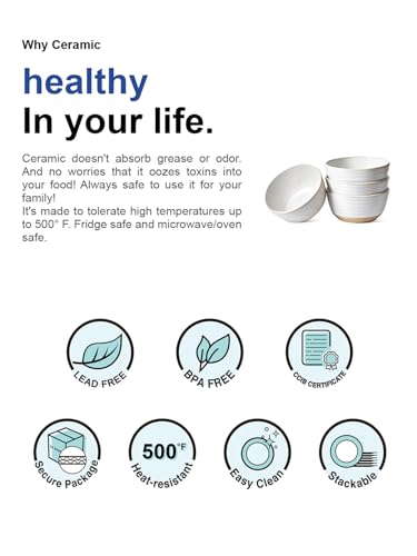 LE TAUCI Cereal Bowls Set of 4, Ceramic Soup Bowl 28 oz, Stoneware Kitchen Bowl for Pho, Chip, Fruit, Salad, Noodle, Ramen, Dishwasher Oven Microwave Safe - 6 Inch, Arctic white - size: 6 inch