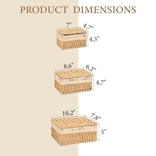 Storage Baskets with Lids, Set of 3 Wicker Baskets with Lids, Shelf Baskets Multipurpose Container, Large Wicker Basket Cube Storage Bins with Liners for Bedroom, Living Room, Bathroom