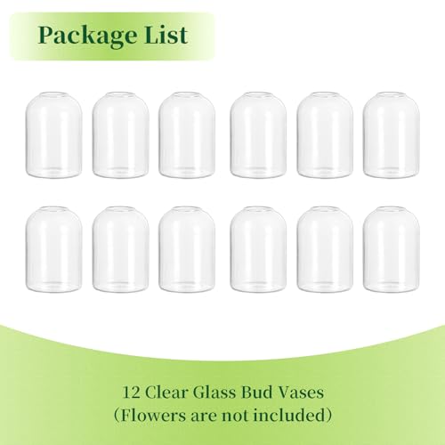 Hewory Glass Bud Vases for Flowers: 12PCS Modern Clear Small Vases Bulk | Mini Centerpieces for Wedding, Party, Events, Floral Arrangement for Table, Home Decor, Highball, Simple, Medium Bottle, Jars