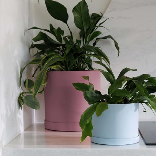 Bloem Mathers 10" Plastic Planter - Modern Indoor Pot with Drainage Holes and Saucer Tray, Dusty Rose - color: Dusty Rose, size: 10"