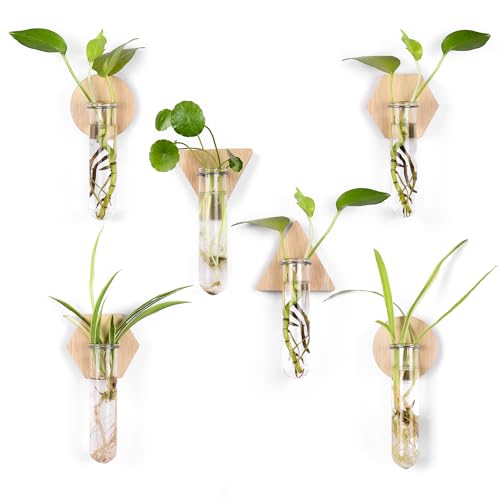 Wall Hanging Glass Planter Plant Propagation Station | Test Tube Vase, Wall Mounted Self-Adhesive Wooden Hydroponic Planter, for Home Office Wall Decor