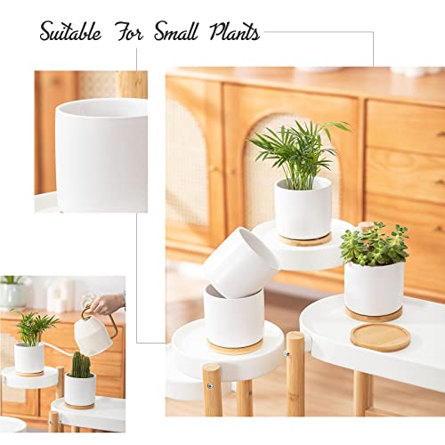 4 Inch Ceramic Plant Pot with Saucer, White Planters Pots with Drainage Hole and Mesh Pads for Succulent, Snake, Cactus, Herbs - 4 Packs(Plant Not Included) | White Planter Pot Set, Modern Indoor Outdoor Planters, for Succulent Snake Cactus Herbs, Plant N