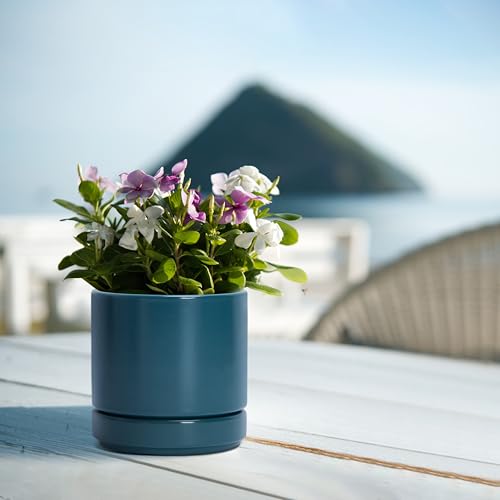 D'vine Dev 4-Pack Ceramic Pots with Saucers, Teal, 4.7 in, 94-X-B-9 | Glazed Ceramic, Drainage Hole and Saucer, Sleek Cylinder Shape, High Temperature Fired, Ideal for Small Houseplants - color: Teal, size: 4.7 Inch