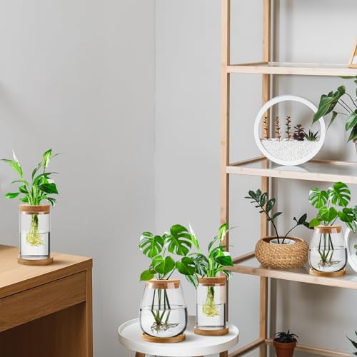 Layhit 4 Pcs Plants Propagation Stations vases Glass Planters with Wooden Lid and Bamboo Stand for Hydroponic Plants Gardening Gifts for Women Mom Home Office Tabletop Decoration(Classic Style) - style: Classic