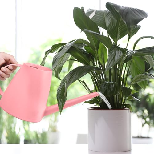 Plastic Watering Can - for Indoor and Outdoor House Plant Garden - with Long Spout - 1/2 Gallon - Pink - color: Pink