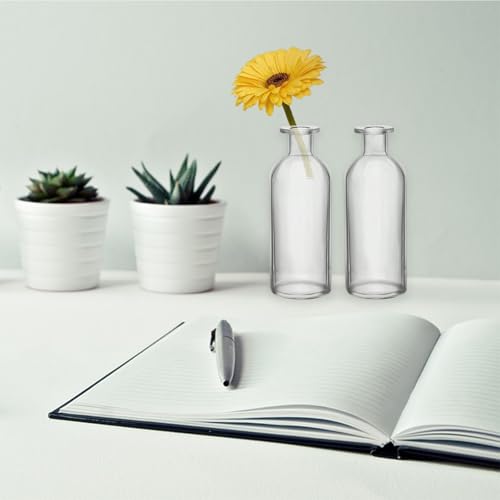 Nexboraque 12 Pack Glass Bud Vases | Clear Small Vases in Bulk Decorative Glass Flower Bottles for Table Centerpiece, Home Decor, Office, Wedding Reception