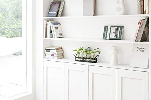 Mkono Propagation Stations, 5 Jars Desktop Glass Plant Terrarium with Stand | Flower Vase, Hydroponic Cuttings, Easy Water Refill,Clear Root View Planter,Farmhouse Home Office Decor, Gardening Lover Gift - size: Large