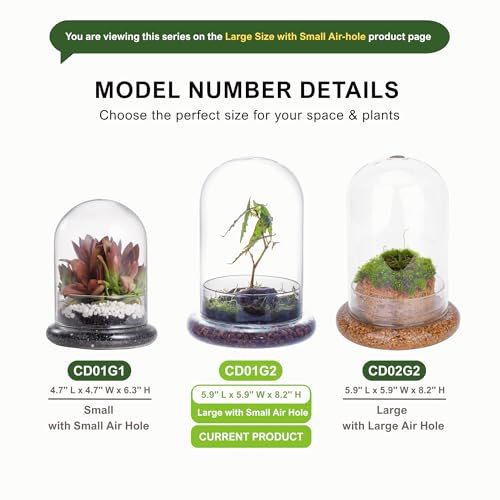 NCYP Glass Cloche Dome with Air Hole and Base, 5.9 x 5.9 x 8.2 Inches, Clear Terrarium Planter for Venus Flytrap, Small Plants, Home Indoor Tabletop Decoration (No Plants) - size: 5.9x5.9x8.2inches