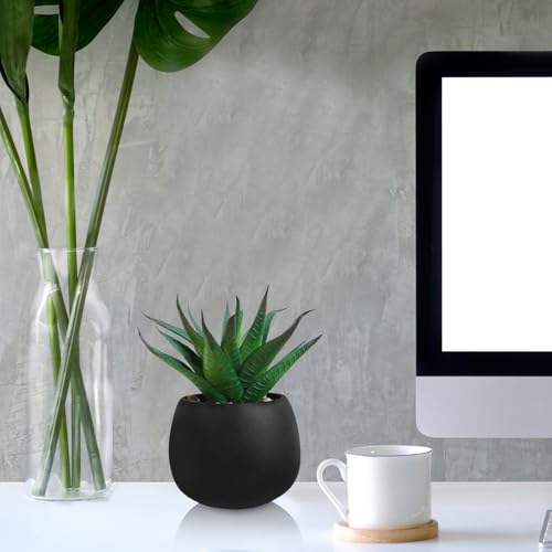 Winlyn Set of 3 Artificial Succulent Plants in Black Concrete Pots Faux Aloe Hops String of Pearls Potted Plants Small Fake Plants Desk Plants for Home Office Desk Kitchen Bathroom Shelf Windowsill - color: Black Pots