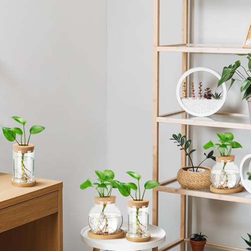 Layhit 4 Pcs Plants Propagation Stations vases Glass Planters with Wooden Lid and Bamboo Stand for Hydroponic Plants Gardening Gifts for Women Mom Home Office Tabletop Decoration(Funny Style) - style: Funny Style