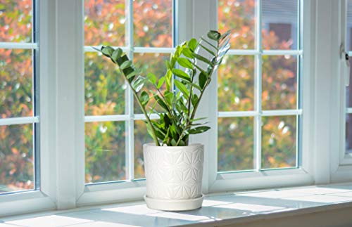 D'vine Dev 2-Pack Geometric Stoneware Planters, 3.8/5.8 in, White, 99-E-1 | Drainage Hole and Saucer, Sculptural Geometric Design, Rich Glazed Surface, Modern Style, Elegant Accent for Indoor Plants - color: White