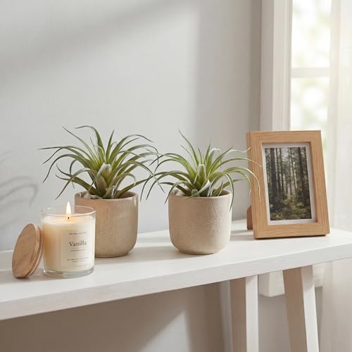 Artificial Plants & Greenery 2Pcs Faux Decor Set | Ultra Realistic Artificial Air Plants, No Care Faux Succulents for Home Garden Office Terrarium DIY Decor