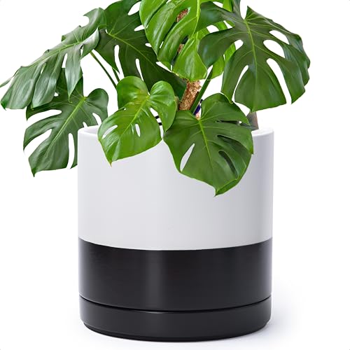 D'vine Dev 10 Inch Ceramic Planter Pot, Black White Two Tone, 94-O-E-L | Modern Cylinder Design, Drainage Hole & Saucer Included, Stable Structure, Elegant Home Accent - color: Layered Monochrome Black & White, size: Large