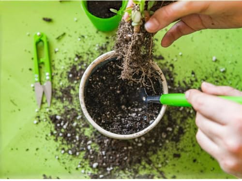 14-Piece Indoor Gardening Tool Set, Stainless Steel Mini Garden Tools with Waterproof Tarp Mat & Tote Bag for Succulents, Potting, Transplanting & Plant Care