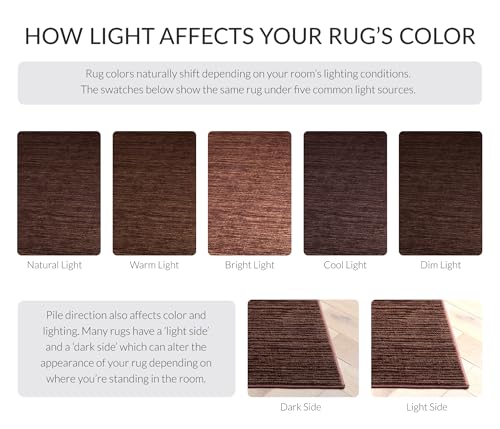 SAFAVIEH Vision Collection Accent Rug - 2'2" x 4', Brown, Modern Ombre Design, Non-Shedding & Easy to Clean, Ideal for Entryway, Foyer, Bedroom (VSN606E) - color: Brown, size: 2'2" x 4' (Rectangular)