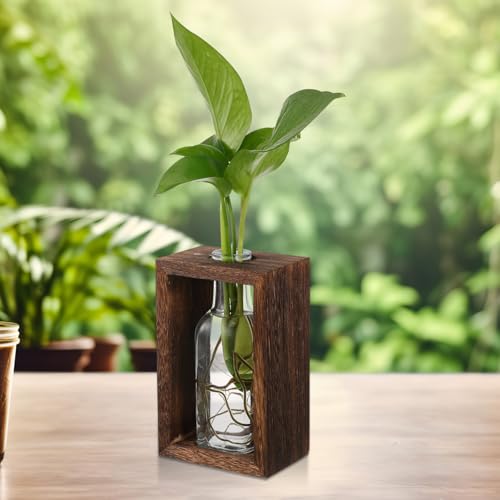Rustic Wooden Plant Propagation Station with Visibility and Easy Maintenance, Hydroponic Glass Vase Planter for Plants, for Coffee Tables and Tabletop Decor