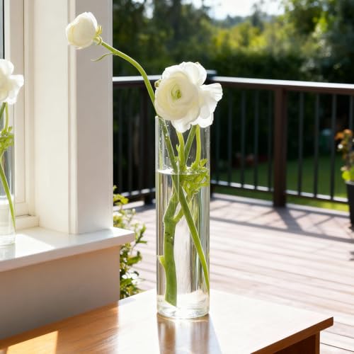 Glass Cylinder Bud Vases Skinny Single Flower Vase 12 Pcs | Tall Clear Glassware Container, Christmas Birthday Housewarming Holiday Decoration, Table Centerpiece Display