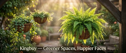 Kingbuy 8" Metal Hanging Basket for Small Succulents & Herbs – 5" Depth Rust-Resistant Wire with Coconut Liner & Chain for Kitchen Window, Balcony & Small Spaces - 1 Pack - size: 8 Inch, style: 1 Pack