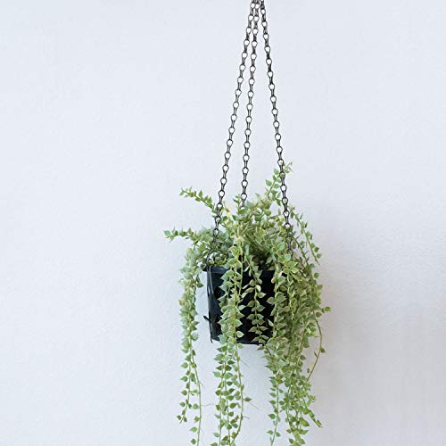 Hotop 8 Pcs Metal Hanging Chains with Ceiling Hooks, Garden Plant Hangers for Hanging Bird Feeders, Billboards, Chalkboards, Basket, Planters, Lanterns, Wind Chimes, Chain Hook DIY(16.38 Inch,Black) - color: Black, size: 16.38 Inch