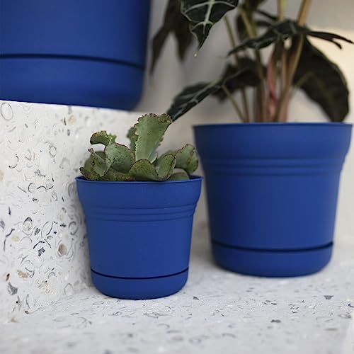 Bloem Saturn Planter w/Saucer 5" Classic Blue (SP0533) - color: Classic Blue, size: 5"