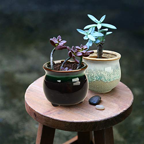 2.1 Inch Ceramic Small Succulent Pot,Plant Pots,Mini Flower Pots | Ceramic Succulent Pots with Drainage,Small Planter for Mini Plant Flowing Glaze Base Serial Set with Holes for Indoor,Outdoor - size: 2.3inch-6pack