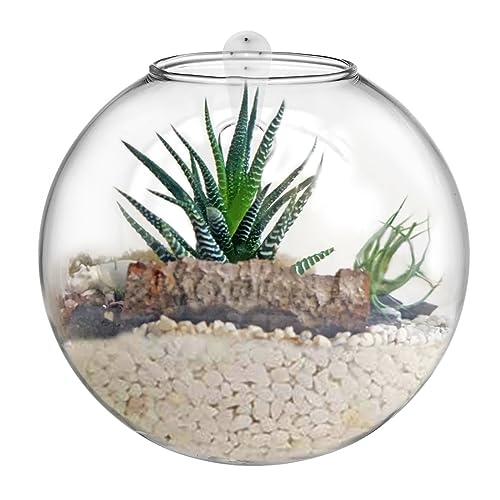 Set of 6 Wall Hanging Planter Terrarium, Clear Glass Plant Vase Wall Mount for Propagating Hydroponics Plant, Indoor Air Plants, Stylish 6 Shapes (Plants Not Included)