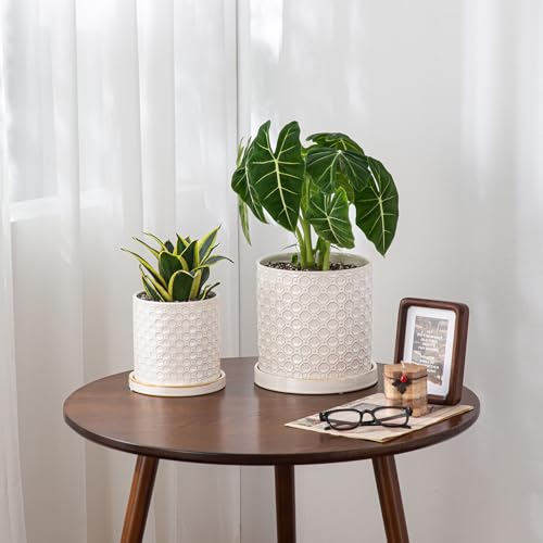 8 Inch Plant Pot: Ceramic Planter with Drainage Hole & Saucer Indoor Outdoor Plants - Cylinder Round Flower Pot for Home Office - Modern Decorative - Medium White