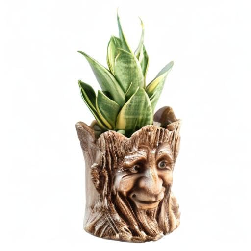 Funny Planter Head Face Plant Pot with Drainage Hole Resin Succulent Plant Holder Pencil Holder Desk Organizer Office Garden Gift (Smile Face)